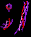 Thumbnail for Vesicle-associated membrane protein
