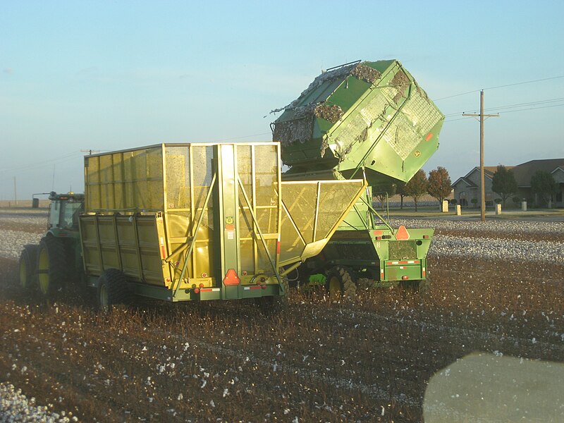 File:Cotton harvest kv01.jpg