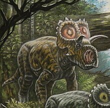 Crittendenceratops (cropped).jpg