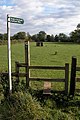 osmwiki:File:Daffodil Way, Dymock - geograph.org.uk - 69563.jpg