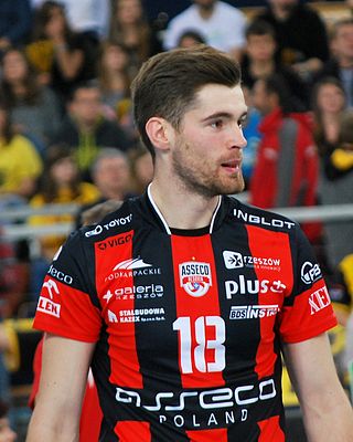 <span class="mw-page-title-main">Dawid Dryja</span> Polish volleyball player