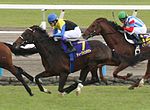 Thumbnail for Horse racing in Japan