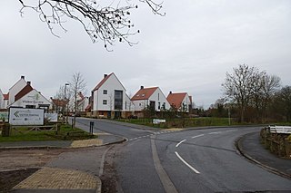 <span class="mw-page-title-main">Derwenthorpe</span> Suburb of the City of York, England