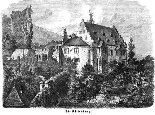 Die Gartenlaube (1864) b 717.jpg