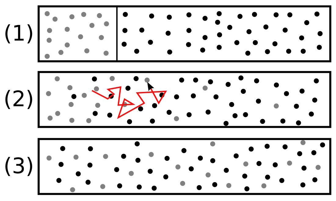 Diffusion de la matière