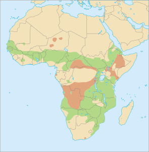 Distribution P. africanus.svg