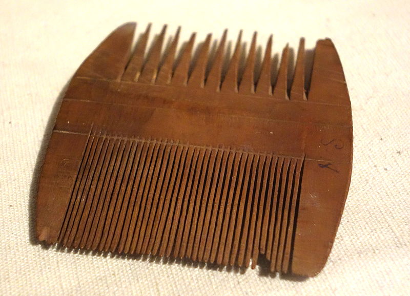 File:Double-sided comb, Egypt, The Fayum, 30 BC - 642 AD, wood - Albany Institute of History and Art - DSC08207.JPG