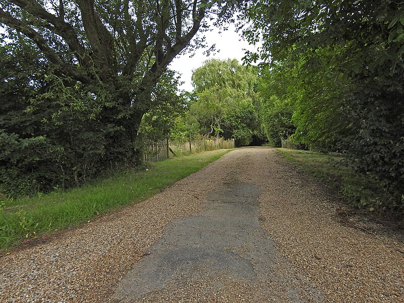 File:Driveway to Willow Wood - geograph.org.uk - 6218290.jpg
