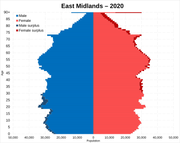 Population pyramid in 2020