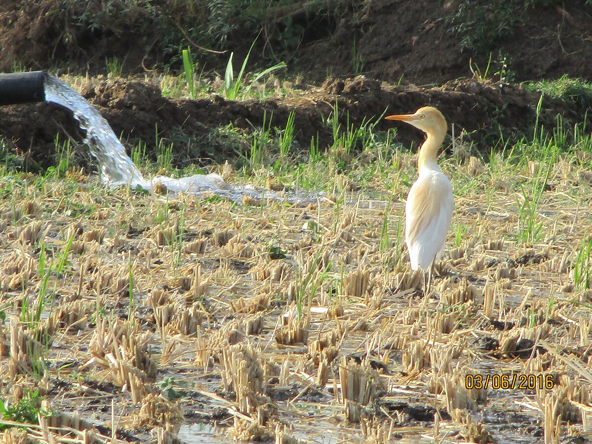 Near water