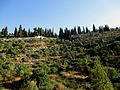 Ein Karem Trail1.JPG