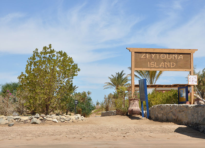 File:El Gouna Zeytouna R01.jpg