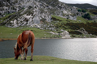 Lago di Ercina, presso Covadonga