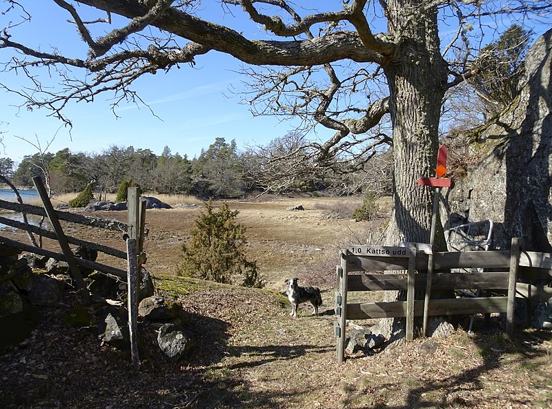 File:Eriksö naturreservat, vandringsled, 2019a.jpg