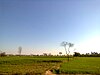 Field near Okara