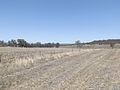 Thumbnail for File:Fields at Broxburn.jpg