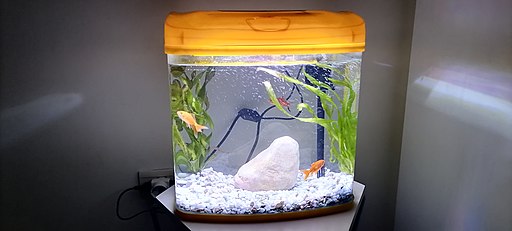 Fish tank on table