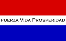 Vlag van Alto Paraguay