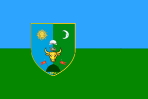 Прапор села Новоіванківці (Пол-Ванчікауць)