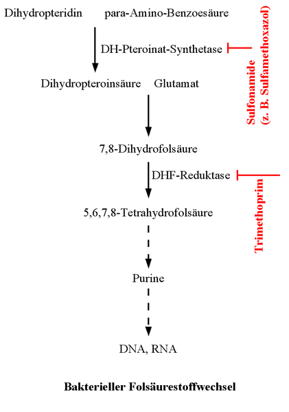 File:Folsaeurestoffwechsel.png