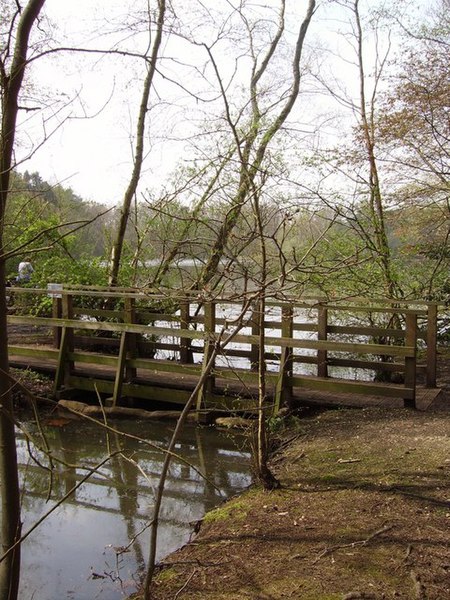 File:Footbridge at the eastern end of Heath Lake - geograph.org.uk - 773404.jpg