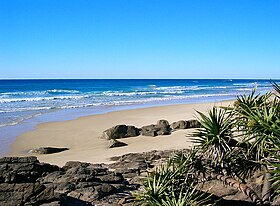 Illustrasjonsbilde av artikkelen Fraser Island