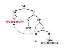 Illustration of possessor-raising in French. Sentence adapted from (Gueron 2007: 611 (100b) French example of possessor-raising.jpg