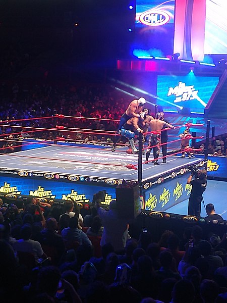 File:Función de luchas de la CMLL en la Arena México 74.jpg