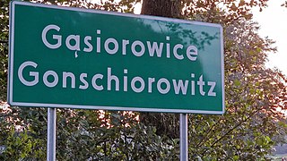 Bilingual village name in Poland 863897920 863897920 name:pl=Gąsiorowice name:de=Gonschiorowitz