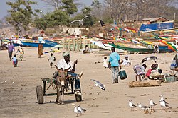 Gambia