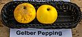 Gelber Pepping