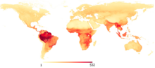 Global species richness map for terrestrial birds.png