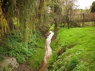 Run of the Gonsbach on the edge of the Mainz district of Gonsenheim