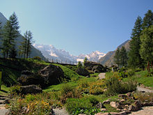 The Gran Paradiso, one of the most famous Italian mountains, located inside the Gran Paradiso National Park. Some interpretations would like the white of the Italian flag to be associated with the white snow of the Alps. Gran Paradiso visto dal Giardino alpino Paradisia.JPG