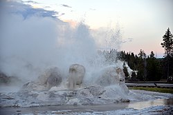 Grotto Geyser, Upper Geyser Basin in 2019