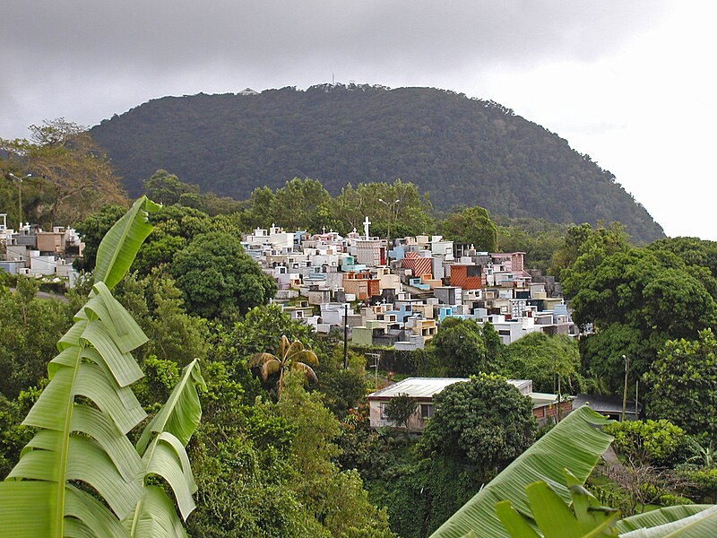 File:Guadeloupe (Le cimetière de Gourbeyre).jpg