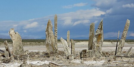 Crystals that formed as the water evaporated in Lake Lucero, White Sands National Monument.