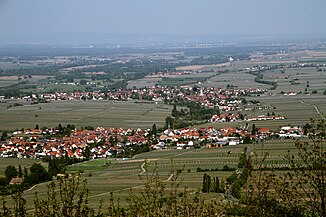 Modenbach-Aue im Bereich Hainfeld/Edesheim