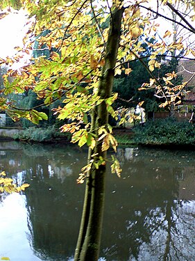 Herbst am Teich in Neumünster