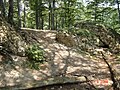 Hirschburg, ruins