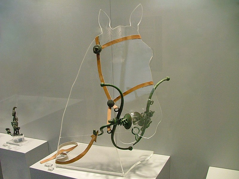 File:Horse protome with halter and bit. National Archaeological Museum of Athens.jpg