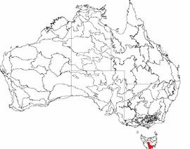 IBRA 6.1 Tasmania Selatan Berkisar.png