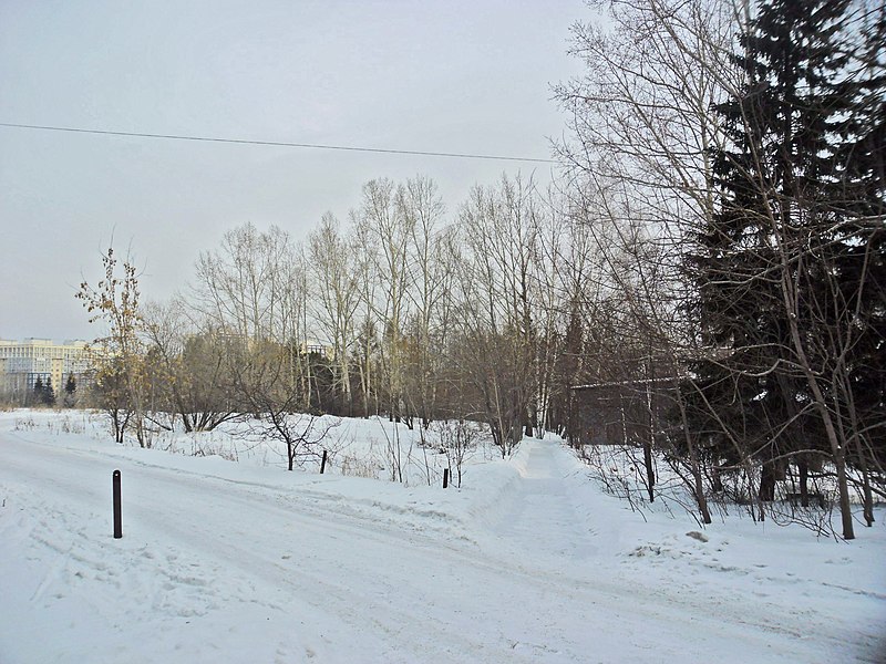 File:Irkutsk. Akademgorodok. February 2013 - panoramio (48).jpg