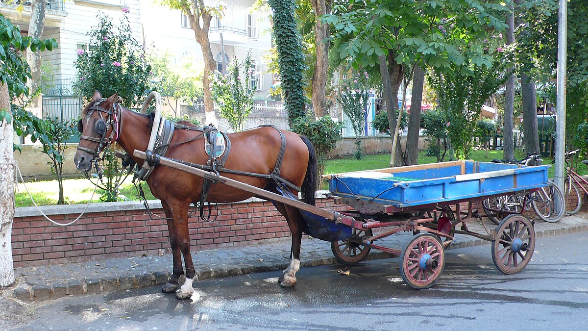 Арба уфа. Арба. Узбекская арба. Арба Чана АТ. Арба славы.