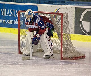 <span class="mw-page-title-main">Ivan Kasutin</span> Russian ice hockey player