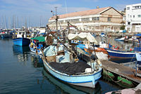 Jaffa Port