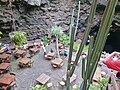 Jameos del Agua