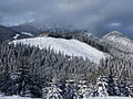 * Nomination View from Jasná Ski Resort, Slovakia --Pudelek 10:39, 18 May 2012 (UTC) * Promotion Good quality. --Vassil 09:48, 19 May 2012 (UTC)