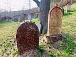 Jewish Cemetery in Čelina