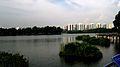 View from new jetty, Jurong East Neighbourhood Town on the background.